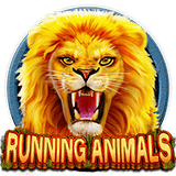RTP CQ9 timeplay88